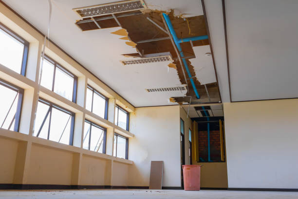 Reliable UT Water damage restoration Solutions
