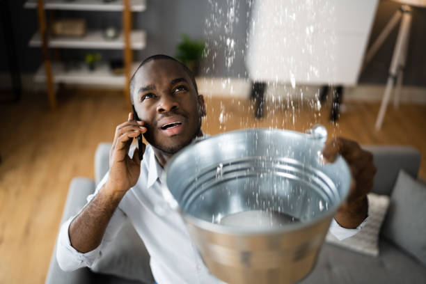 Best 24/7 water damage repair  in Brigham City, UT
