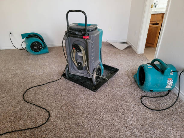 Best Water damage restoration near me  in Brigham City, UT
