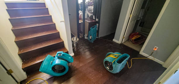 Best Professional water damage repair  in Brigham City, UT