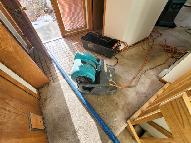 Carpet water damage restoration in UT