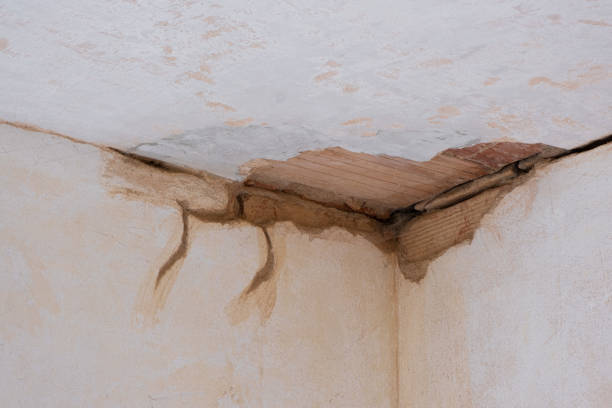 Local water damage restoration in UT