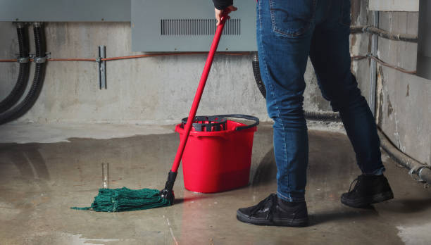 Best Ceiling water damage repair  in Brigham City, UT