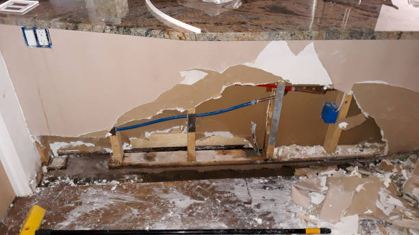 Best Basement water damage restoration  in Brigham City, UT
