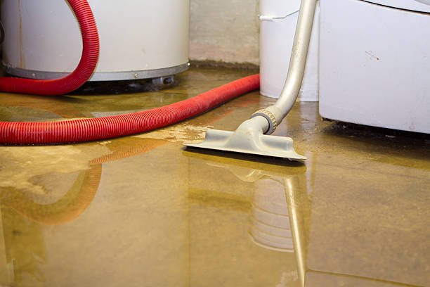 Best Local water damage restoration  in Brigham City, UT
