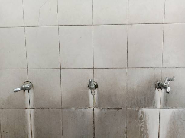Best Water damage restoration near me  in Brigham City, UT